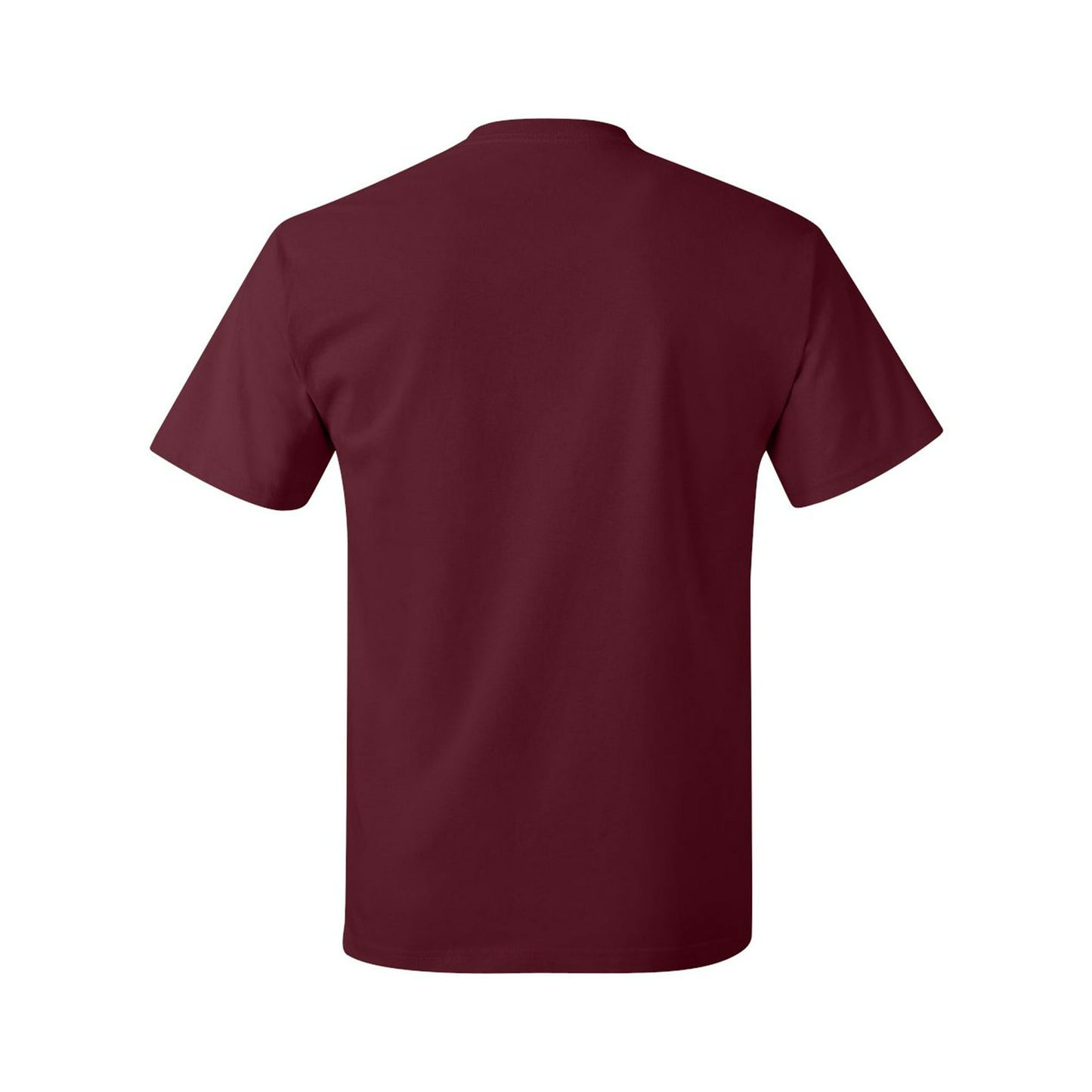 Hanes Authentic T-Shirt for Men